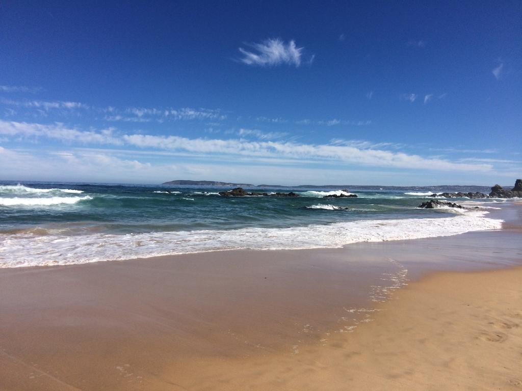 The Green Palm Cottage Plettenberg Bay Εξωτερικό φωτογραφία